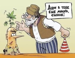 Фанаты блогера Литвина попытались повторить его трюк и оставили инвалидом девушку-медика