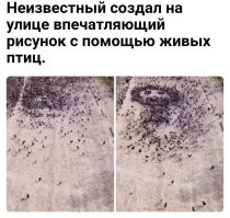 15 фото, на которых идеально всё, что аж не верится