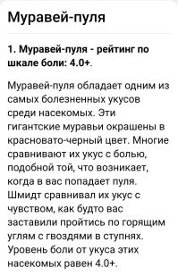 Муравьи, они разные бывают...