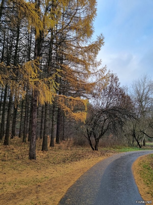 из окна Матвеевки) или на телеобъектив
Приезжай на Тропарёвскую. Снято на S21