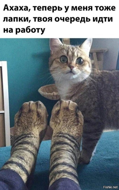 Солянка от 17.11.2022