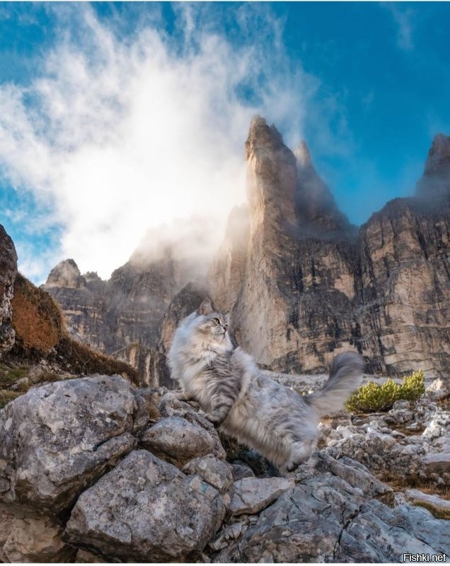 Солянка от 17.11.2022