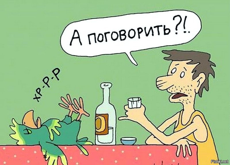 Солянка от 17.11.2022