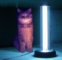 У студентов. Три литра спирта. А не