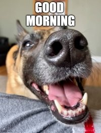 С добрым утром!