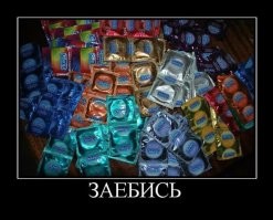 Скрины из соцсетей