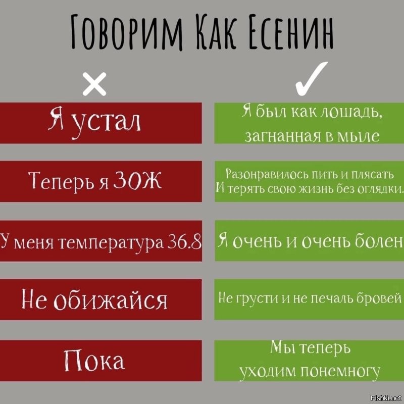 Солянка от 17.11.2022