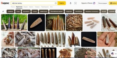 Балтийский янтарь, который стал загадкой для учёных