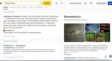 Балтийский янтарь, который стал загадкой для учёных