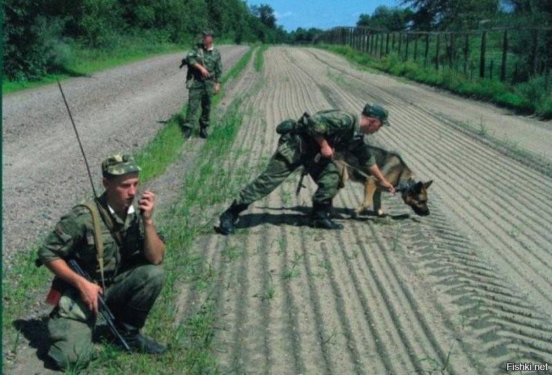 Солянка от 17.11.2022