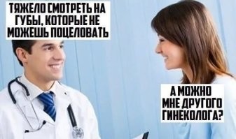 Йожика картинки. Выпуск 241