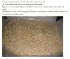 "Да, это не те кальмарчики, которых можно встретить в продуктовом в качестве закуски к пиву"