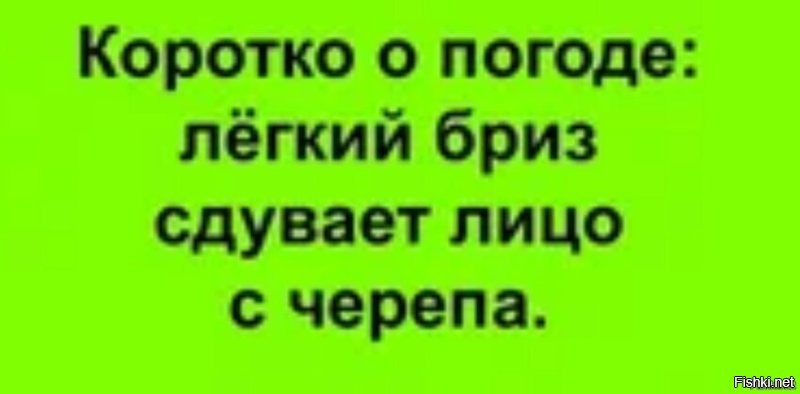 Солянка от 16.11.2022