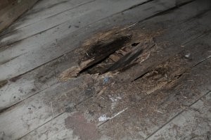 А это слабый пол!