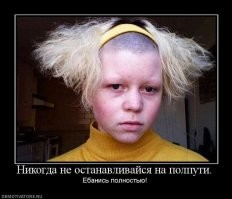 Йожика картинки. Выпуск 242