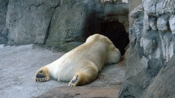 Не дошел. Устал.