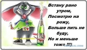 Йожика картинки. Выпуск 242