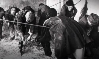 да да...а это их спальные места...очень щедрые работодатели всегда были в Бриташе..