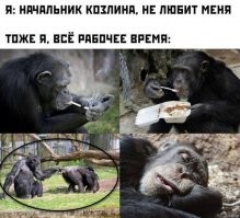 Его можно понять.Какая-никакая субординация должна быть всё-таки.