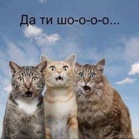 Томас Эдисон - НИКОГДА НЕ ИЗОБРЕТАЛ лампочку, а под шумок быстренько оформил себе патент на неё. Пусть заграничная школота слушает сказки о том, что лампочку, радио да и всё в этом мире изобрели в USA.