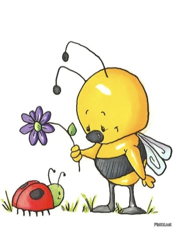 Солянка от 18.11.2022