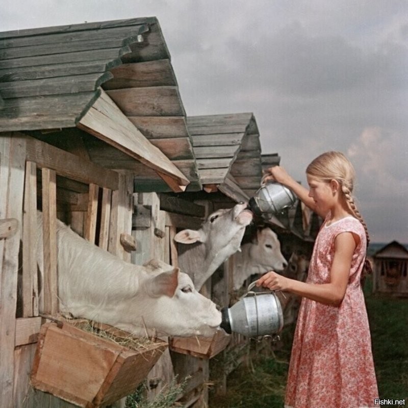 Солянка от 18.11.2022