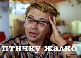 Въезд через выезд: свежая порция убойных бумажных объявлений