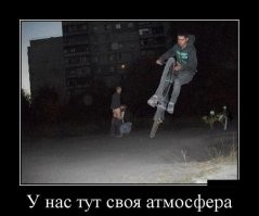 Йожика картинки. Выпуск 242