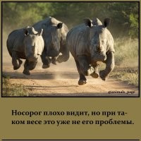 Сомневаюсь, что дерево поможет....