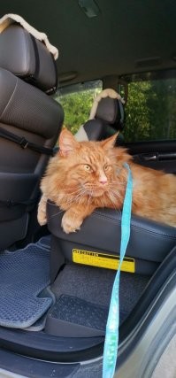 Мой чудик)