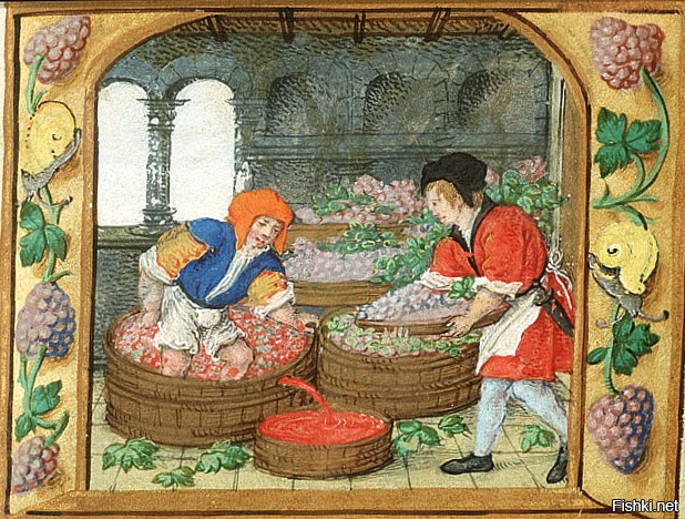 Вино из-под пресса уступает полученному из прямо процеженного сока: последнее и крепче, и приятнее на вкус, чем первое, которое слабее и кислее, хотя в нём и больше экстрактивных и ароматических веществ.
Есть качество и цена вина, а не Ваши исторические справки, виноград можно и с гребней не снимать...
Декреты Карла Великого в области виноделия требовали обеспечить надлежащий уровень гигиены. В одном даже предписывалось, что виноград можно отжимать только под прессом, а не давить босыми ногами.