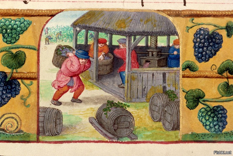 Вино из-под пресса уступает полученному из прямо процеженного сока: последнее и крепче, и приятнее на вкус, чем первое, которое слабее и кислее, хотя в нём и больше экстрактивных и ароматических веществ.
Есть качество и цена вина, а не Ваши исторические справки, виноград можно и с гребней не снимать...
Декреты Карла Великого в области виноделия требовали обеспечить надлежащий уровень гигиены. В одном даже предписывалось, что виноград можно отжимать только под прессом, а не давить босыми ногами.