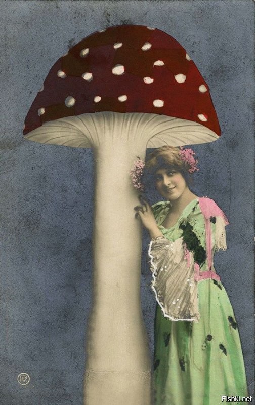 Солянка от 18.11.2022