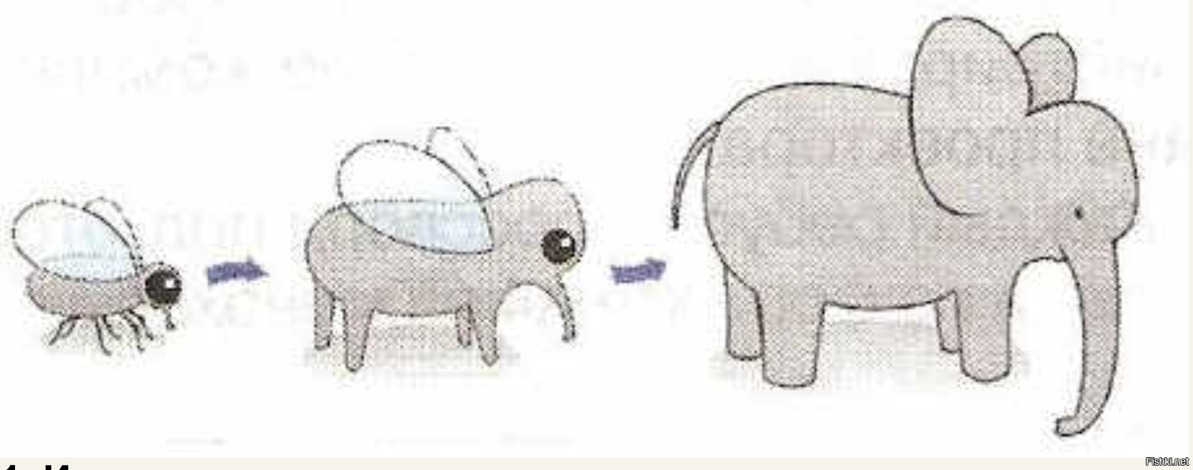 Нарисовать слона и муху