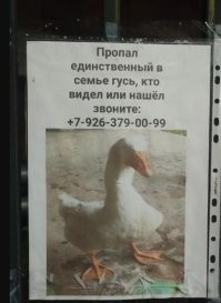 Я,кажется, видел....