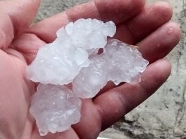 Половичком старым успели стекла машины накрыть...эти не самые крупные )))