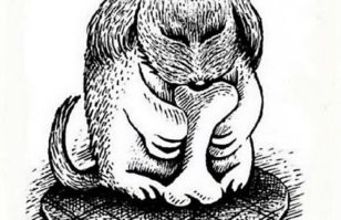 Прикольные картинки с комментариями