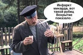 Любопытный носорог напугал спящего пса