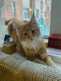 Моя Жемчужина)