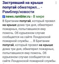 Йожика картинки. Выпуск 242