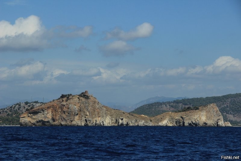 Солянка от 18.11.2022