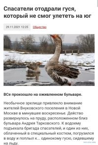 Зачем так сразу? Может он примерз где-нибудь