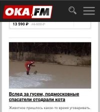 И не только гуся.  Мастера заголовков из Серпухова.