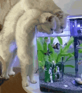 та ладно. в субботу утром ваще по барабану откуда.