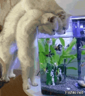 та ладно. в субботу утром ваще по барабану откуда.