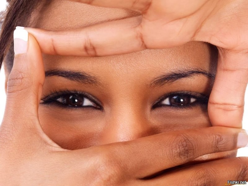 Солянка от 19.11.2022