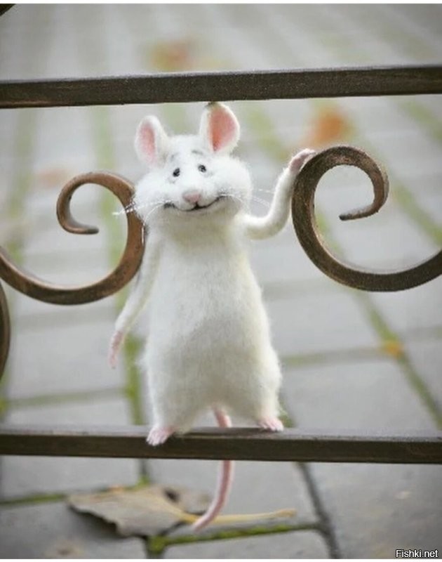 Солянка от 19.11.2022