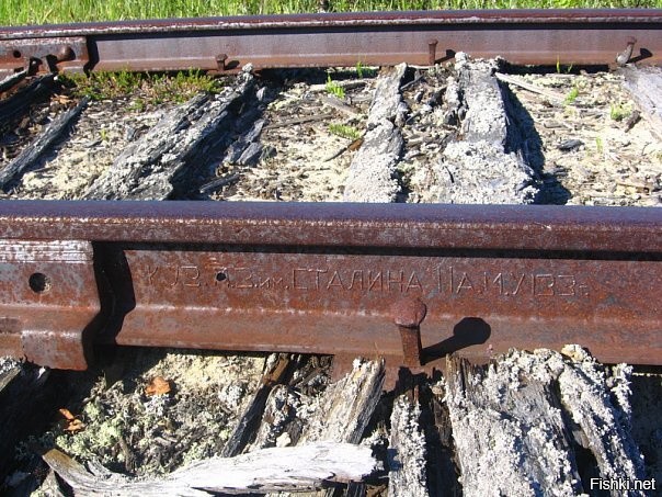 Солянка от 19.11.2022