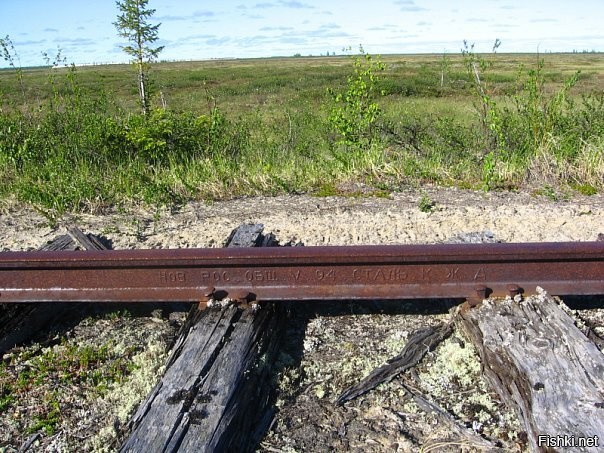 Солянка от 19.11.2022