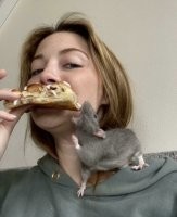 А кто у этой домашней крысы на плече?
